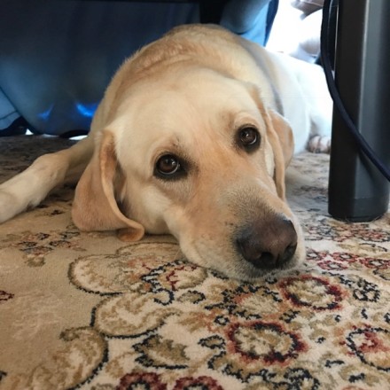 IMG_5497 - コピー