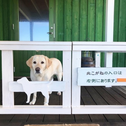 3AA0E3CE-8E32-47F4-8962-667F943200E1