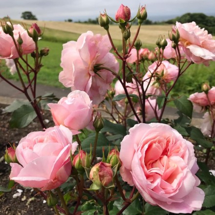 440E8300-9D08-4BE2-A18D-7510DE616320