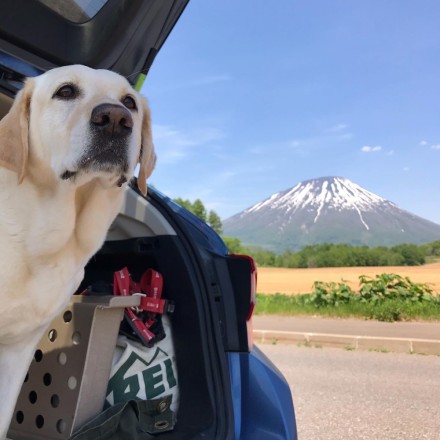 B57D0C94-92F5-428A-A1B1-FB74B108AD84