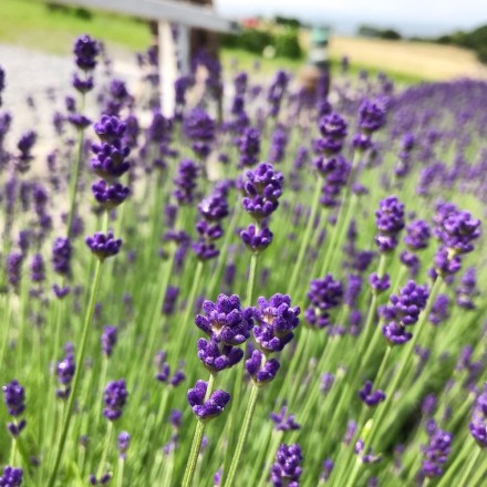 DD5EF346-88AA-4D9D-9420-D1DC2847D31C