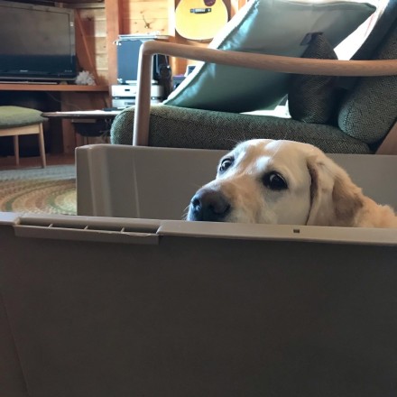 F8205F3C-8D02-4BE6-836E-C6E039564143