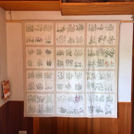 36CE117B-64F9-4C7D-8A05-0FE5D4157679