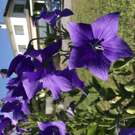 4F4D476F-A3DF-4E13-9C59-A4DA79B80087