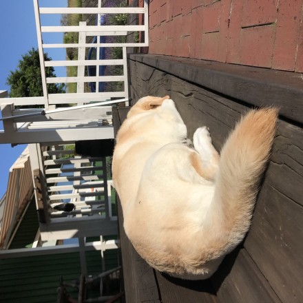 F83C56BC-3247-466F-B951-9BEF18DF9765