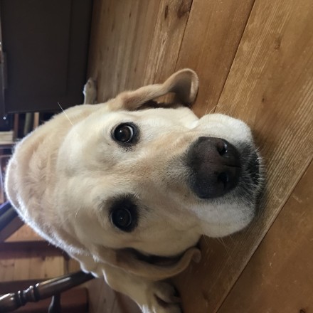 5F63E4DF-AEB7-41FF-8E10-1399C6BCDFEB