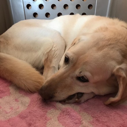 09A0206D-66F4-4ACA-BE80-8997BA697F99