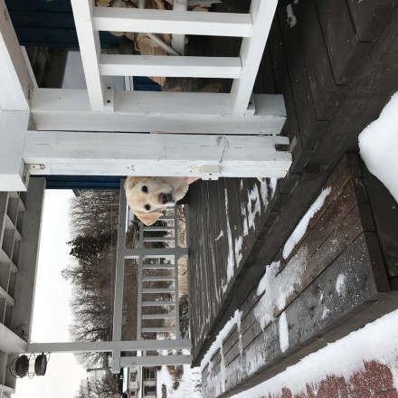 4B547344-C1D7-47B7-9D05-2E849DCCE840