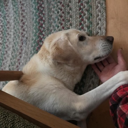 623FDD8E-1FB6-4D50-BA9F-2FE69A866B61