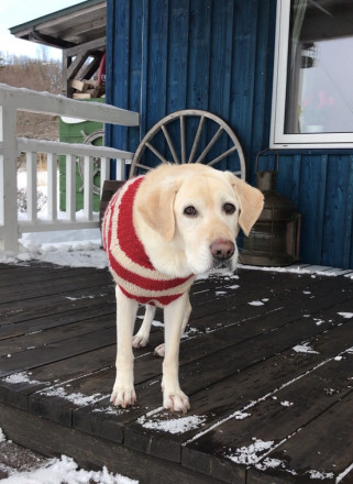 8524E0CD-E112-4FA5-8A71-E413B298A510