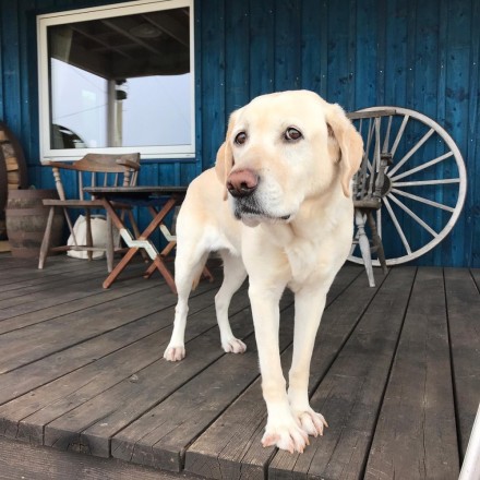 453E22AD-356D-48E2-B645-ED2F81E9D191