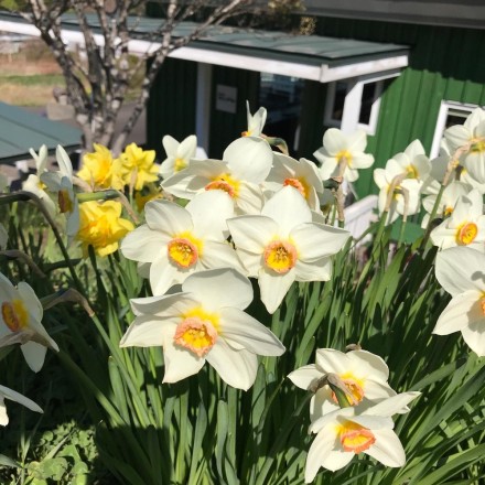 4AA00D6D-ECE0-46CC-AC71-19D22FA93354