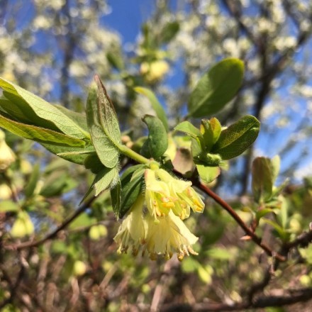 625FC8D2-ECC7-4B70-B944-8235BFD329B3