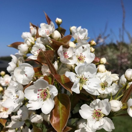 8D364048-46CD-4208-A7AA-4FC618B62B14