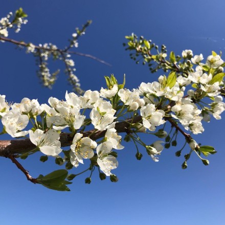 91FEA958-C2AB-4DC9-9C4B-D85DAFC11DB1