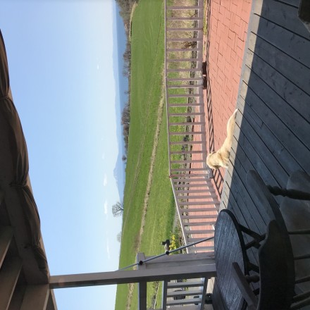 EEB2447B-92E0-4351-9A21-97EF8366B240