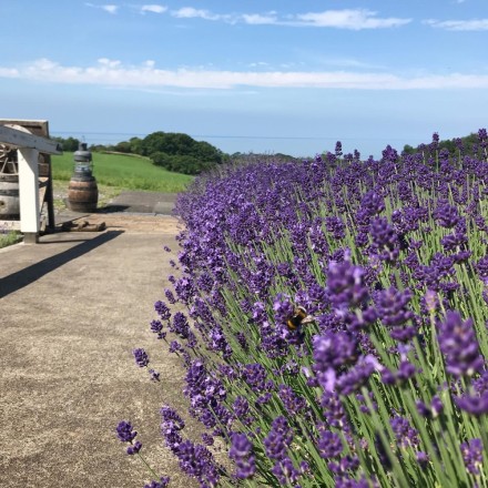 CB436B02-CE22-450C-85F5-AF5A73E9B003