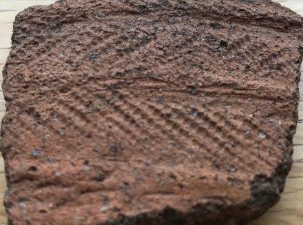 111A206C-CFA1-4C0A-93D3-D65FD59E152B