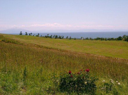 384A5487-CB80-4EFA-98E5-DC0D15C6BC86