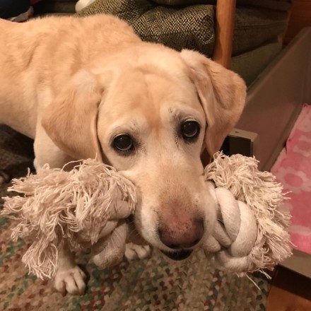 7811F171-EE2E-477C-9E92-9CD525B65285