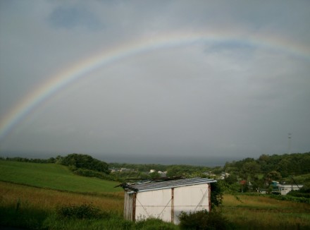 BAFEDBBD-4C4C-4C83-8BA3-D1D3101A156D