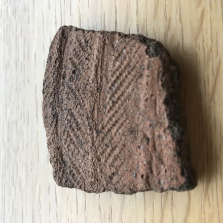 D4CE99D9-0859-4C8D-BE83-63063B15C2A9