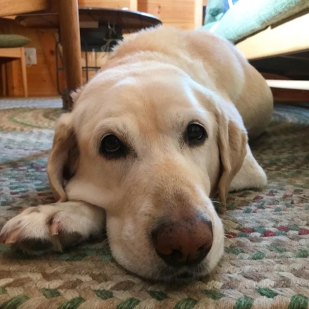 80B2562F-8FCC-4B11-A986-EDCC9C7C627C