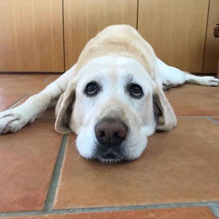 D0D9CBC0-BD31-4783-828E-D5C5435ECBE3