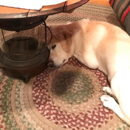 DDDF8547-91CB-4319-8878-8118CA3869B4