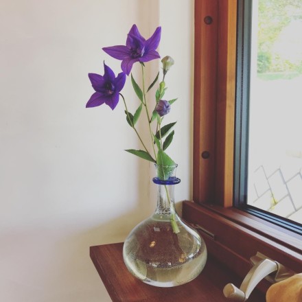 90847320-6F20-4FB3-809A-4301C507ACB2