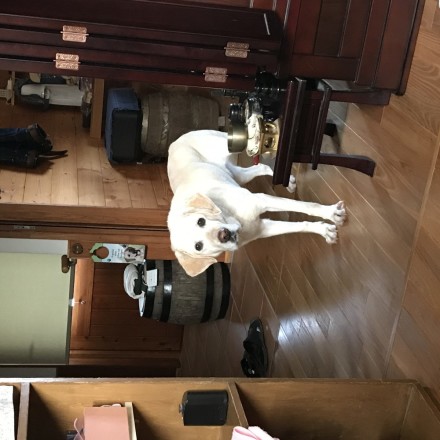 8CA63B1E-E531-48CE-9C78-B7765D3AF448